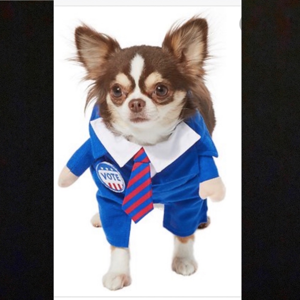 Walking politician dog costume